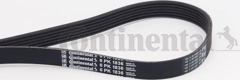 Contitech 6 PK 1836 - Keilrippenriemen alexcarstop-ersatzteile.com