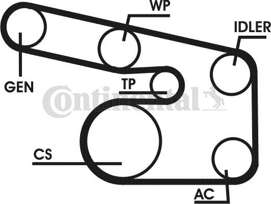 Contitech 6PK1873D1 - Keilrippenriemensatz alexcarstop-ersatzteile.com