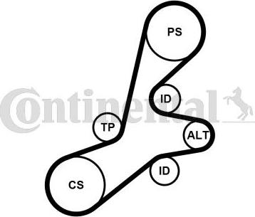 Contitech 6PK1352K1 - Keilrippenriemensatz alexcarstop-ersatzteile.com