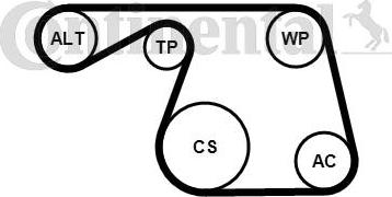 Contitech 6PK1310K1 - Keilrippenriemensatz alexcarstop-ersatzteile.com