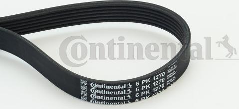 Contitech 6PK1270 - Keilrippenriemen alexcarstop-ersatzteile.com