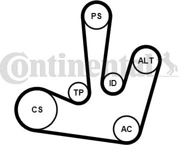 Contitech 6PK1795K1 - Keilrippenriemensatz alexcarstop-ersatzteile.com