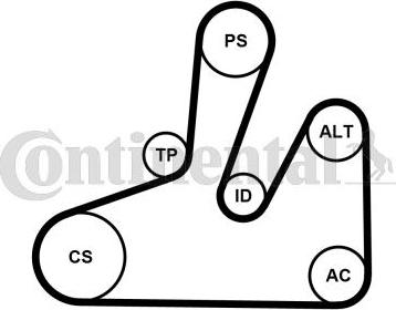 Contitech 6PK1740K4 - Keilrippenriemensatz alexcarstop-ersatzteile.com