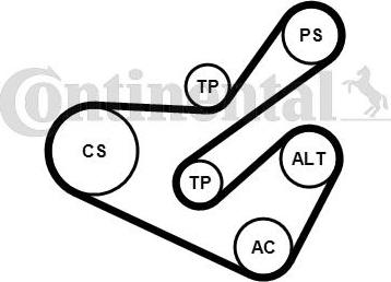 Contitech 6PK1740K1 - Keilrippenriemensatz alexcarstop-ersatzteile.com