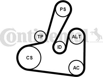 Contitech 6PK1705K2 - Keilrippenriemensatz alexcarstop-ersatzteile.com