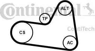 Continental 6PK1710K1 - Keilrippenriemensatz alexcarstop-ersatzteile.com