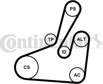 Contitech 6PK1710K2 - Keilrippenriemensatz alexcarstop-ersatzteile.com