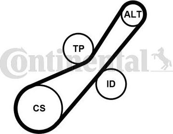 Contitech 6PK800K1 - Keilrippenriemensatz alexcarstop-ersatzteile.com