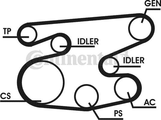 Contitech 6PK2236D1 - Keilrippenriemensatz alexcarstop-ersatzteile.com