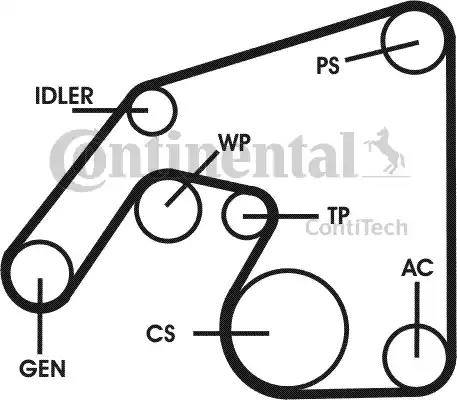 Continental 6PK-2271-D2 - Keilrippenriemen alexcarstop-ersatzteile.com