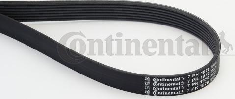 Contitech 7 PK 1970 - Keilrippenriemen alexcarstop-ersatzteile.com