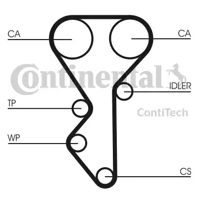 Continental CT955 - Zahnriemen alexcarstop-ersatzteile.com