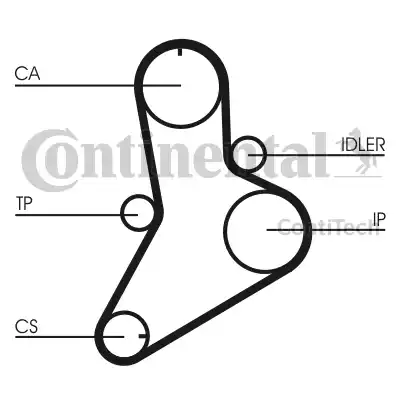 Continental CT508 - Zahnriemen alexcarstop-ersatzteile.com