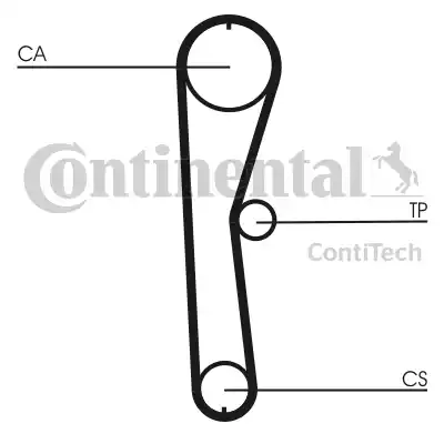 Continental CT824 - Zahnriemen alexcarstop-ersatzteile.com