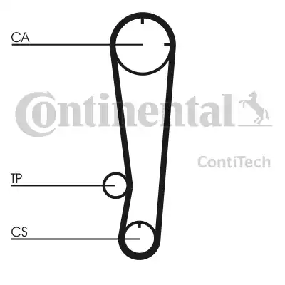 Continental CT738 - Zahnriemen alexcarstop-ersatzteile.com