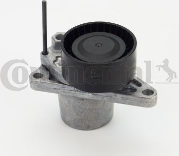 Contitech V85923 - Umlenk / Führungsrolle, Keilrippenriemen alexcarstop-ersatzteile.com