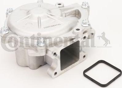 Contitech WPS3123 - Wasserpumpe alexcarstop-ersatzteile.com