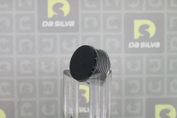 DA SILVA PRL171 - Riemenscheibe, Generator alexcarstop-ersatzteile.com