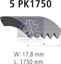 DT Spare Parts 4.81420 - Keilrippenriemen alexcarstop-ersatzteile.com