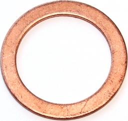 Elring 119.407 - Dichtring alexcarstop-ersatzteile.com