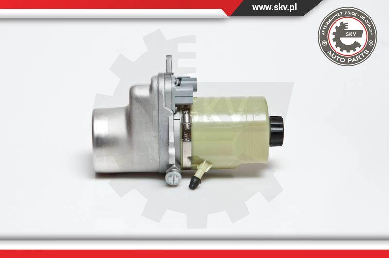 Esen SKV 10SKV135 - Hydraulikpumpe, Lenkung alexcarstop-ersatzteile.com