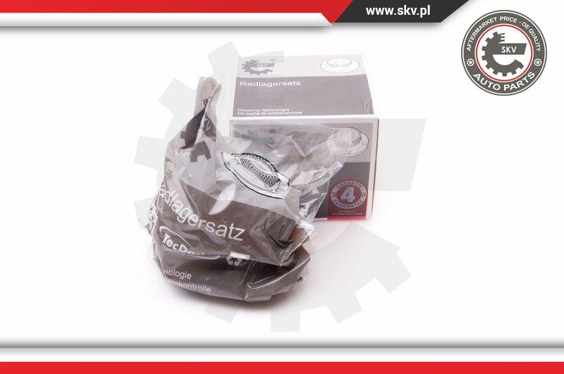 Esen SKV 29SKV011 - Radlagersatz alexcarstop-ersatzteile.com