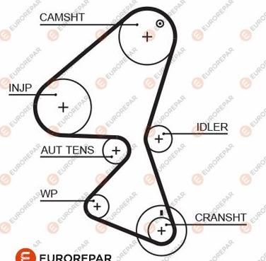 EUROREPAR 1633144080 - Zahnriemen alexcarstop-ersatzteile.com