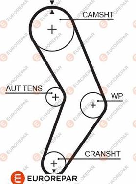 EUROREPAR 1633143080 - Zahnriemen alexcarstop-ersatzteile.com