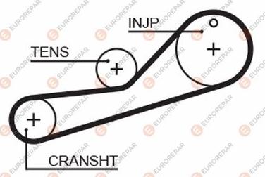 EUROREPAR 1633135580 - Zahnriemen alexcarstop-ersatzteile.com