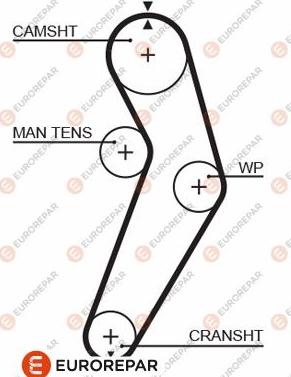 EUROREPAR 1633135880 - Zahnriemen alexcarstop-ersatzteile.com