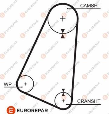 EUROREPAR 1633136280 - Zahnriemen alexcarstop-ersatzteile.com