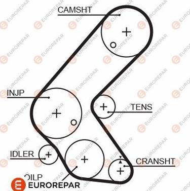 EUROREPAR 1633131380 - Zahnriemen alexcarstop-ersatzteile.com