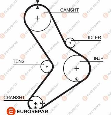 EUROREPAR 1633138380 - Zahnriemen alexcarstop-ersatzteile.com