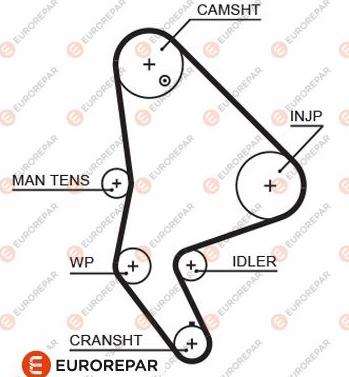 EUROREPAR 1633126480 - Zahnriemen alexcarstop-ersatzteile.com