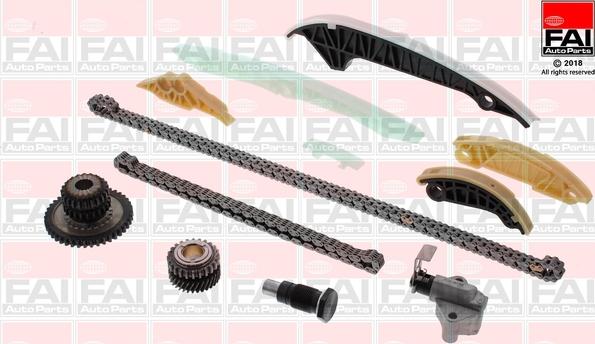 FAI AutoParts TCK306NG - Steuerkettensatz alexcarstop-ersatzteile.com