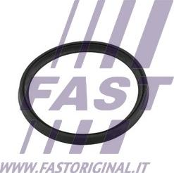 Fast FT49854 - Dichtring, Lader alexcarstop-ersatzteile.com