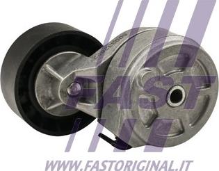 Fast FT44667 - Umlenk / Führungsrolle, Keilrippenriemen alexcarstop-ersatzteile.com