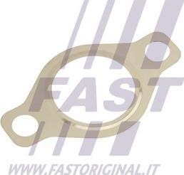 Fast FT50618 - Dichtung, AGR-Ventil alexcarstop-ersatzteile.com