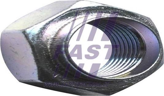 Fast FT26033 - Achsmutter, Antriebswelle alexcarstop-ersatzteile.com