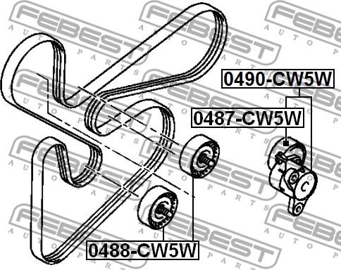 Febest 0487-CW5W - Umlenk / Führungsrolle, Keilrippenriemen alexcarstop-ersatzteile.com