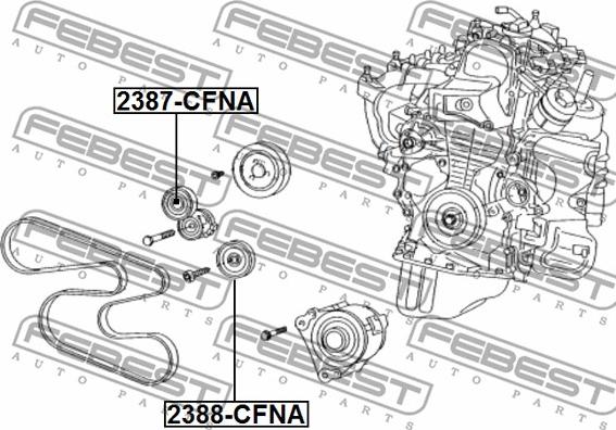 Febest 2388-CFNA - Umlenk / Führungsrolle, Keilrippenriemen alexcarstop-ersatzteile.com