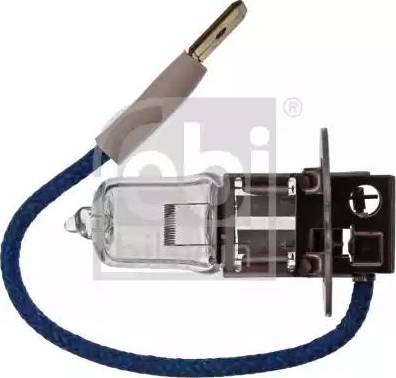 Febi Bilstein 06698 - Glühlampe, Hauptscheinwerfer alexcarstop-ersatzteile.com