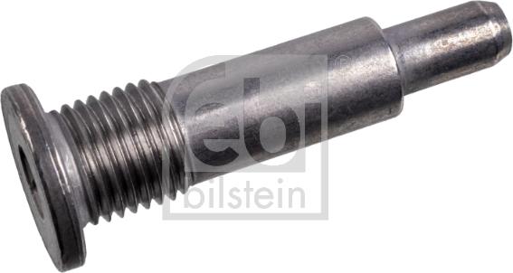 Febi Bilstein 173615 - Gleitschienenbolzen, Steuerkette alexcarstop-ersatzteile.com