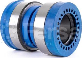 Fersa Bearings F 200017 - Radlagersatz alexcarstop-ersatzteile.com