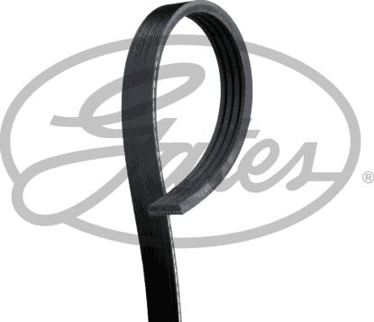 Gates K040338RPM - Keilrippenriemen alexcarstop-ersatzteile.com