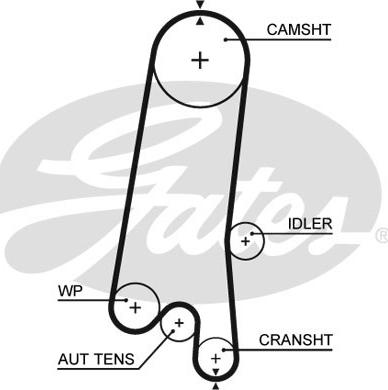 Gates 5597XS - Zahnriemen alexcarstop-ersatzteile.com