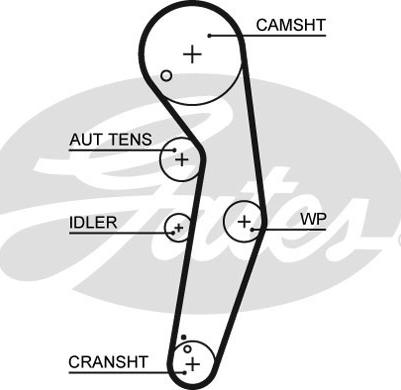 Gates 5569XS - Zahnriemen alexcarstop-ersatzteile.com