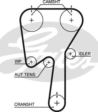 Gates 5509XS - Zahnriemen alexcarstop-ersatzteile.com