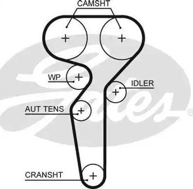 Gates 5655XS - Zahnriemen alexcarstop-ersatzteile.com