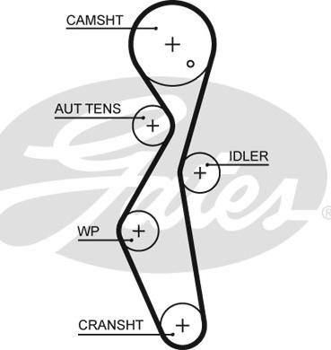 Gates 5672XS - Zahnriemen alexcarstop-ersatzteile.com